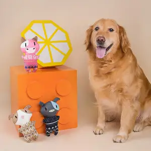 Domestic emerging enterprises are increasingly emerging in decentralized markets