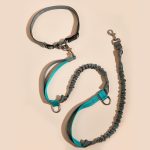 Multifunction Nylon Dog Leash