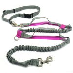 Nylon Dog Leash