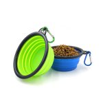 Foldable Bowl