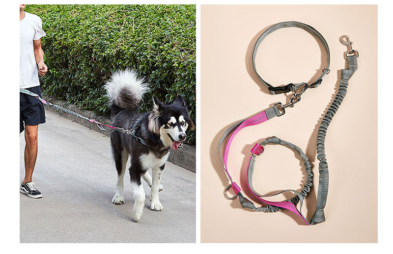 Nylon Dog Leash