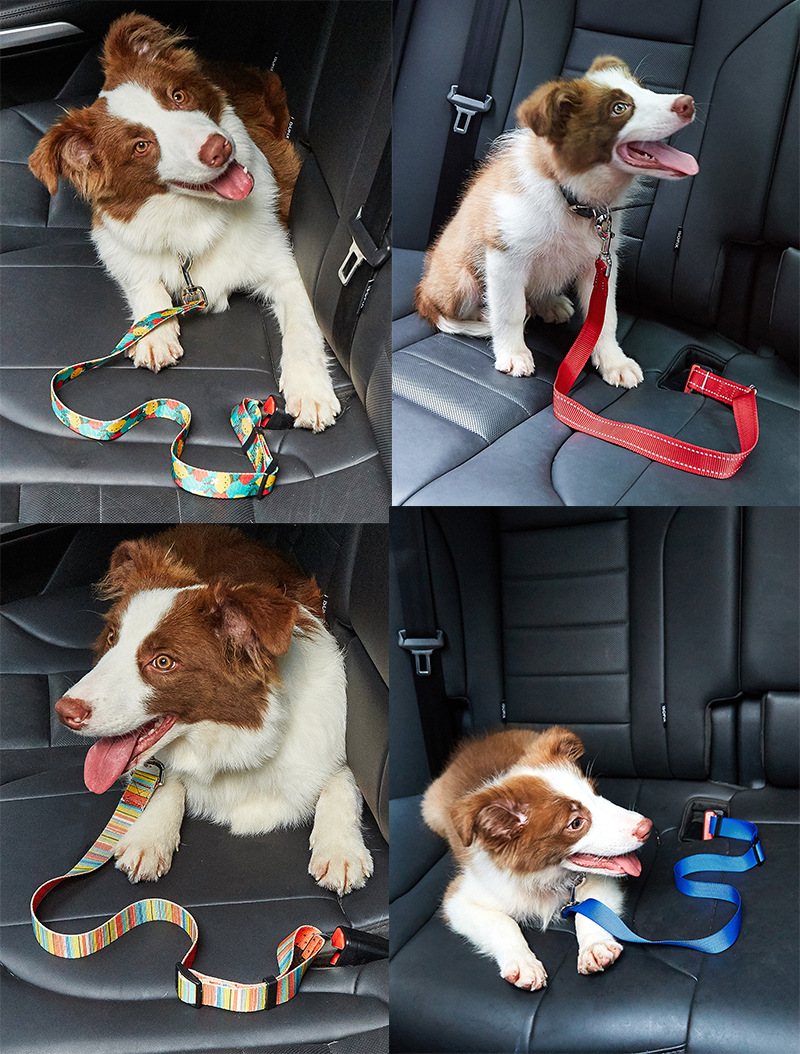 Dog Car Seat Belt