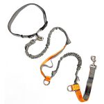 Multifunction Nylon Dog Leash