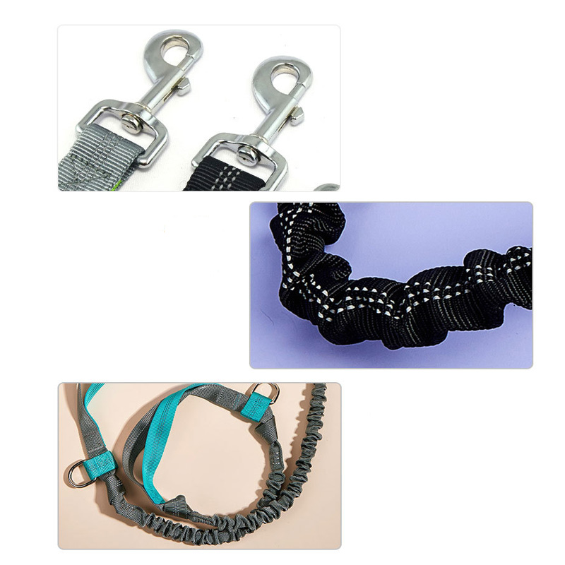 Nylon Dog Leash