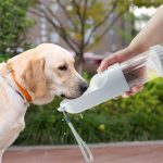 Pet Drinking Bottle, Water Bottle