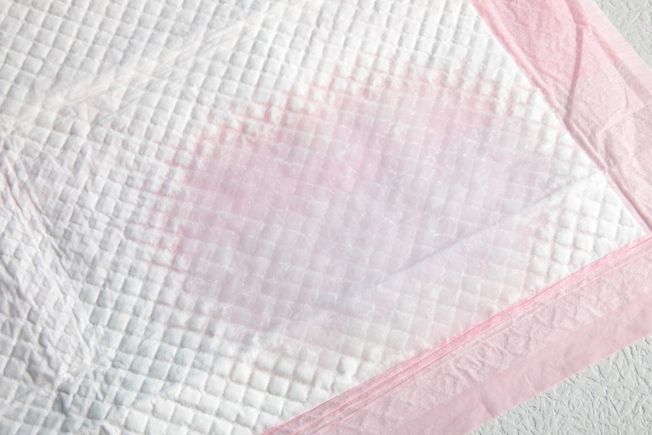 Dog Pee Pad