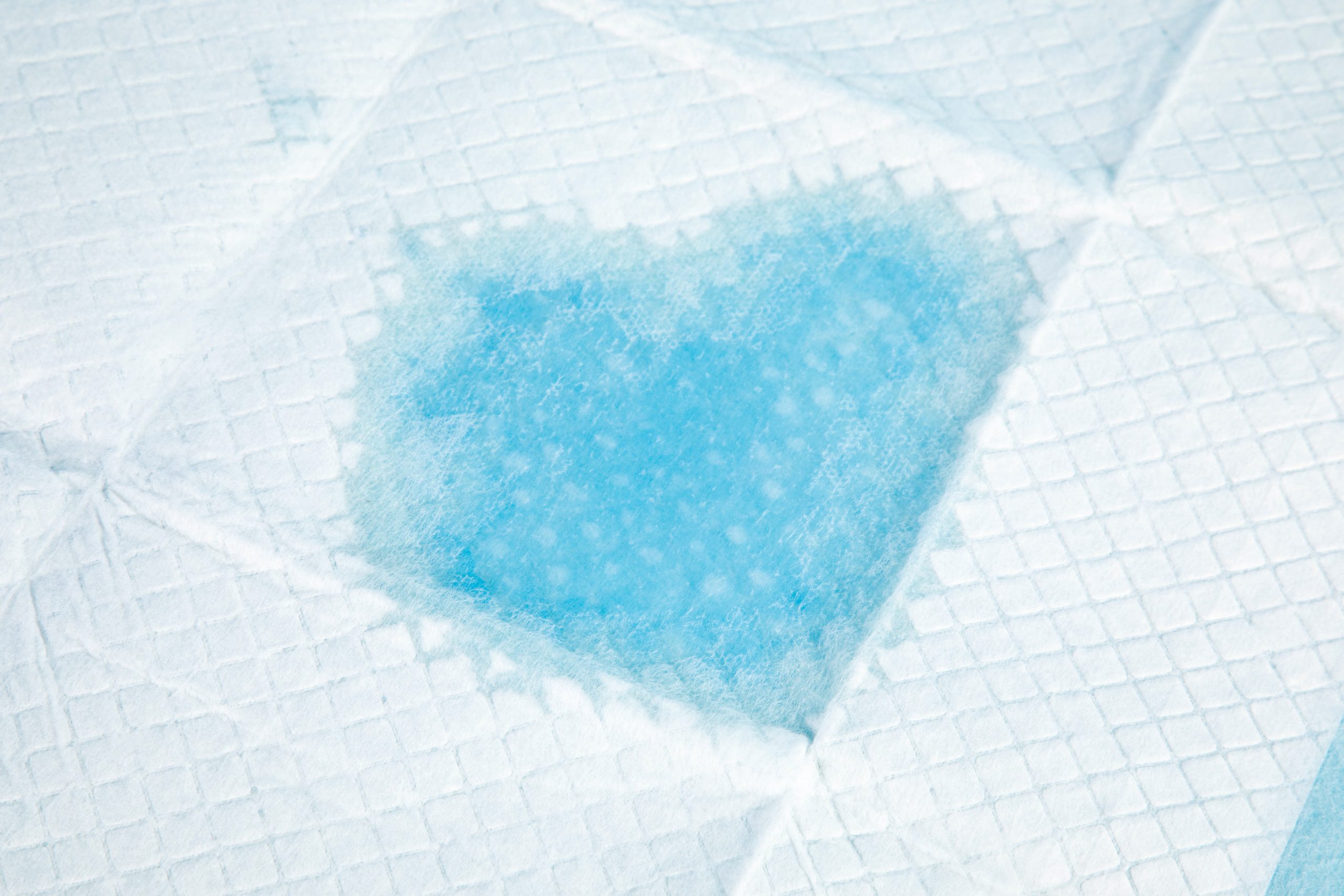 Dog Pee Pad