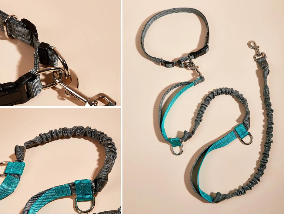 Nylon Dog Leash