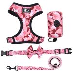 Dog collars, leashes, chest harness / Four-piece chest strap