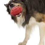 Rubber Chew Toys For Large Dogs
