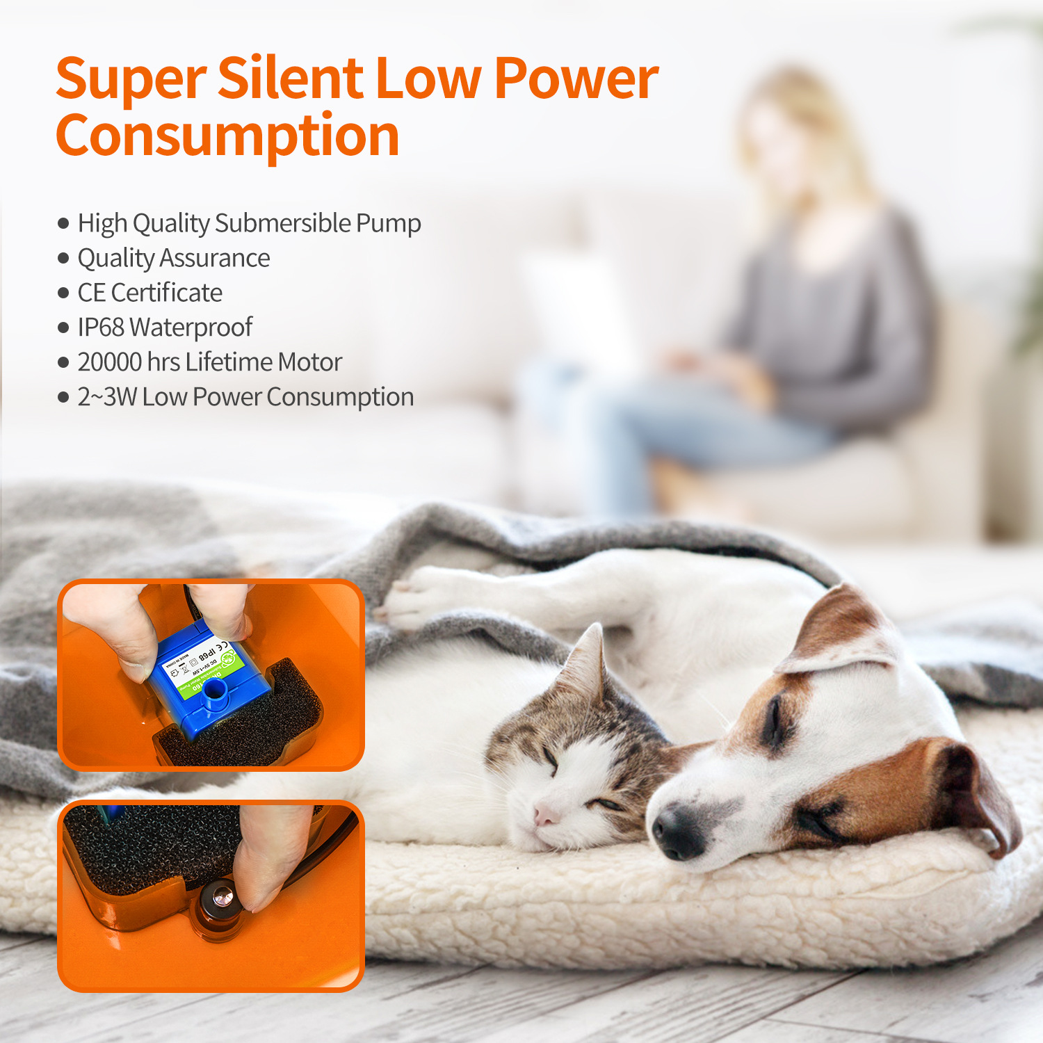 pet water feeder