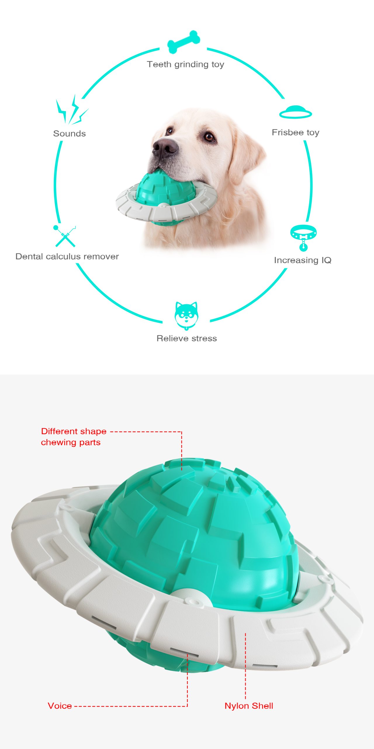 Multifunctional Frisbee Dog Chewing Toy
