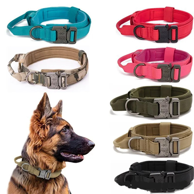 Pet Collar