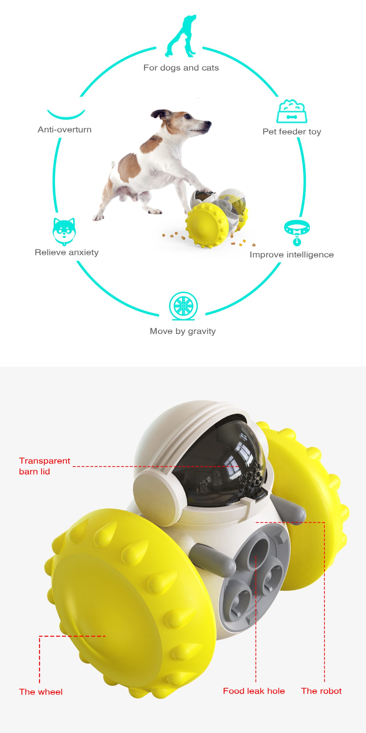 Pet Slow Feeder Toy