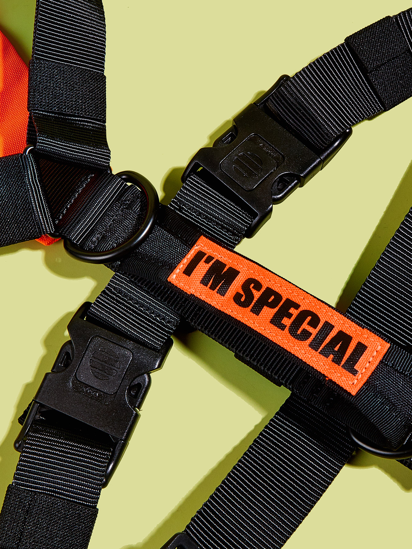 Pet Dog Harness