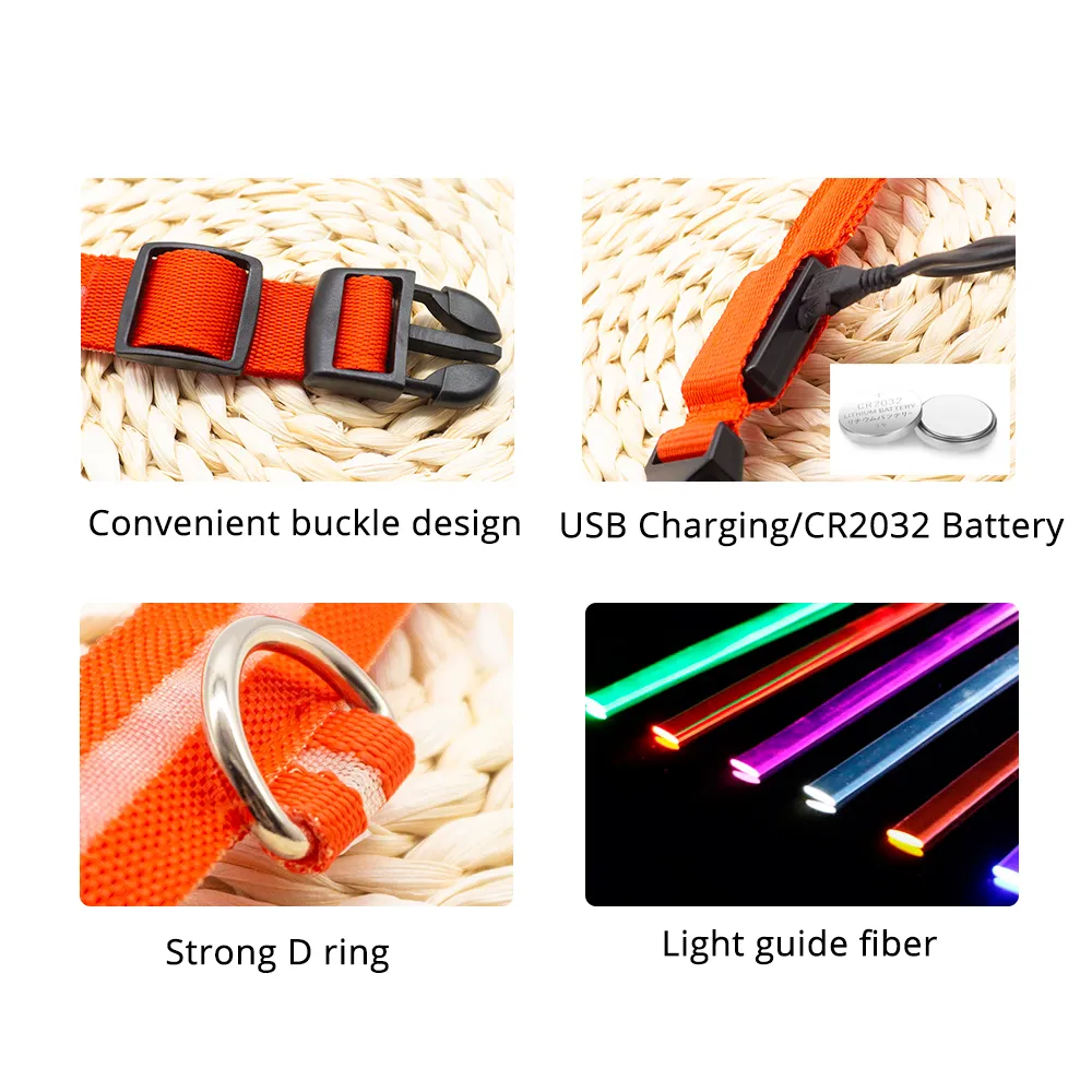 Dog Night Light Collar