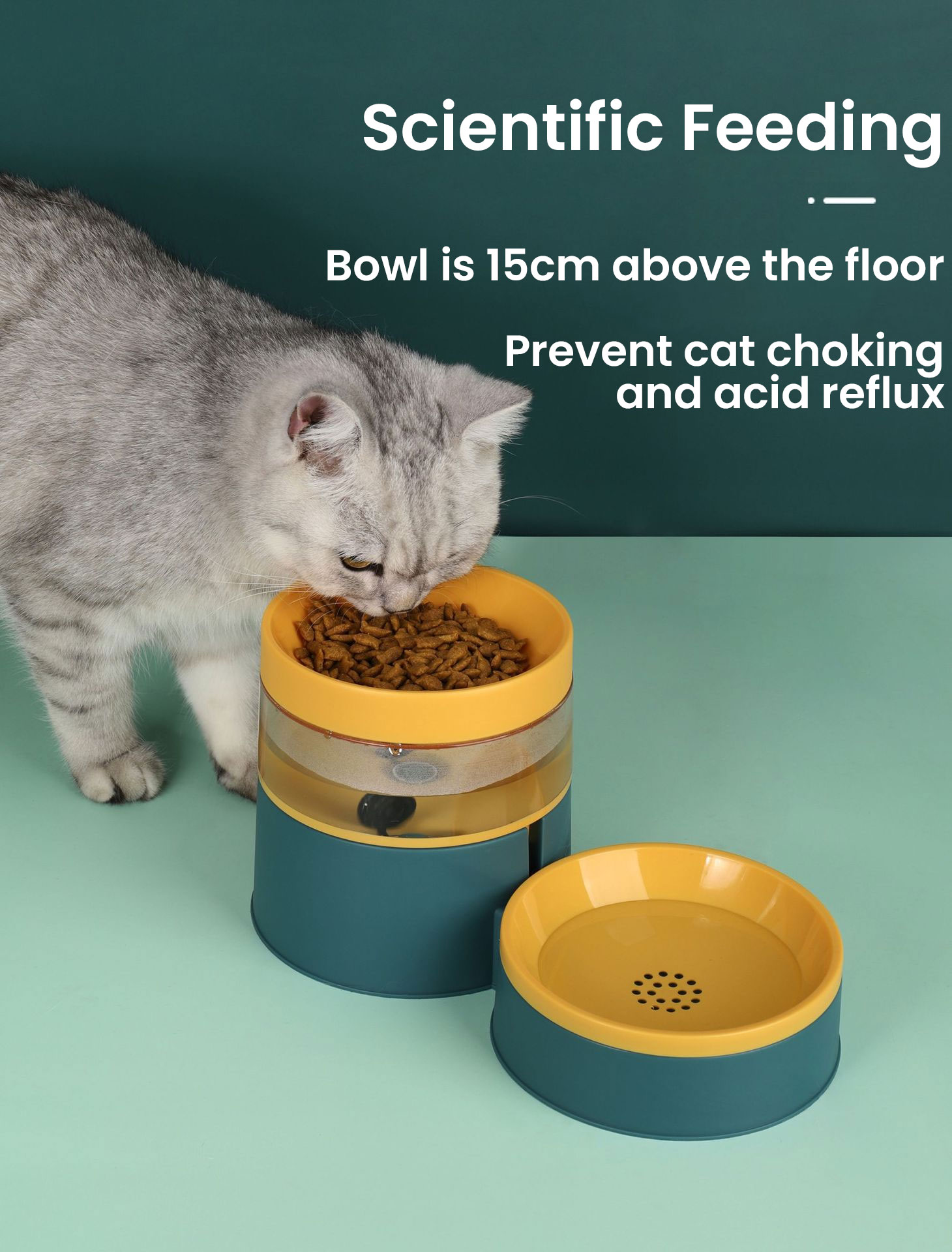 Automatic Refill Pet Bowl Drinking