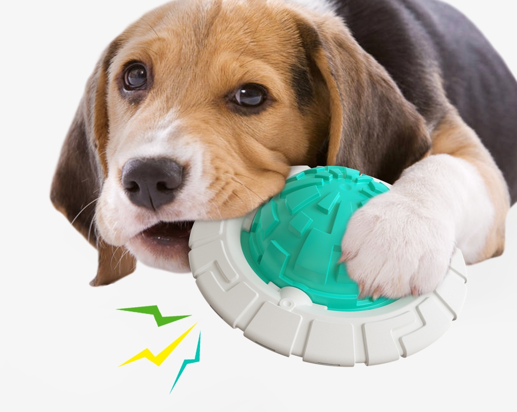 Multifunctional Frisbee Dog Chewing Toy