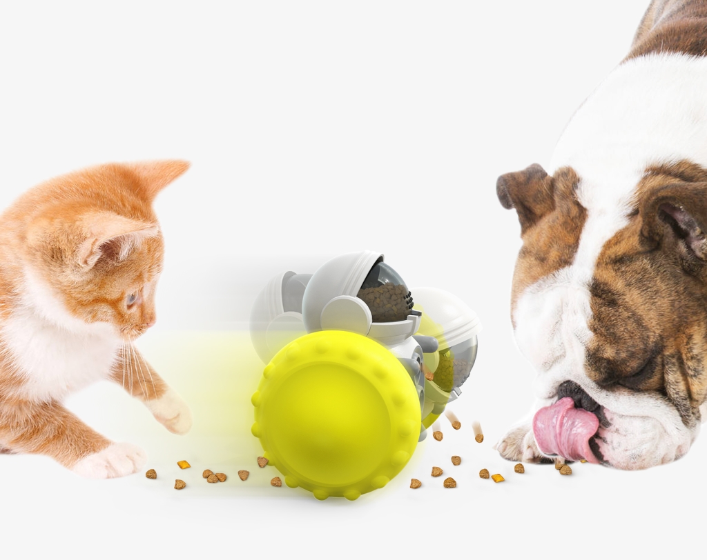 Pet Slow Feeder Toy