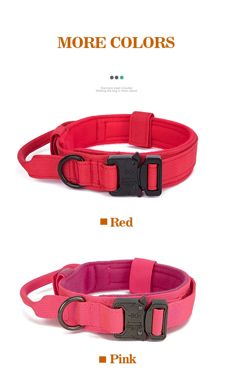 Pet Collar