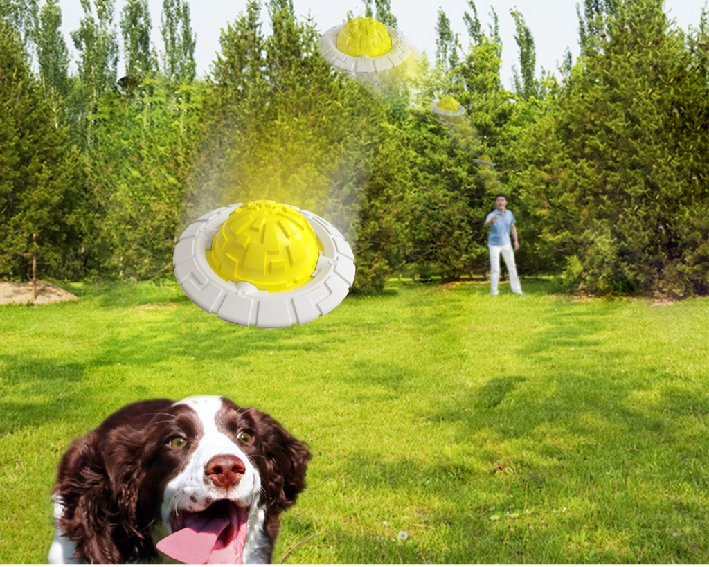 Multifunctional Frisbee Dog Chewing Toy
