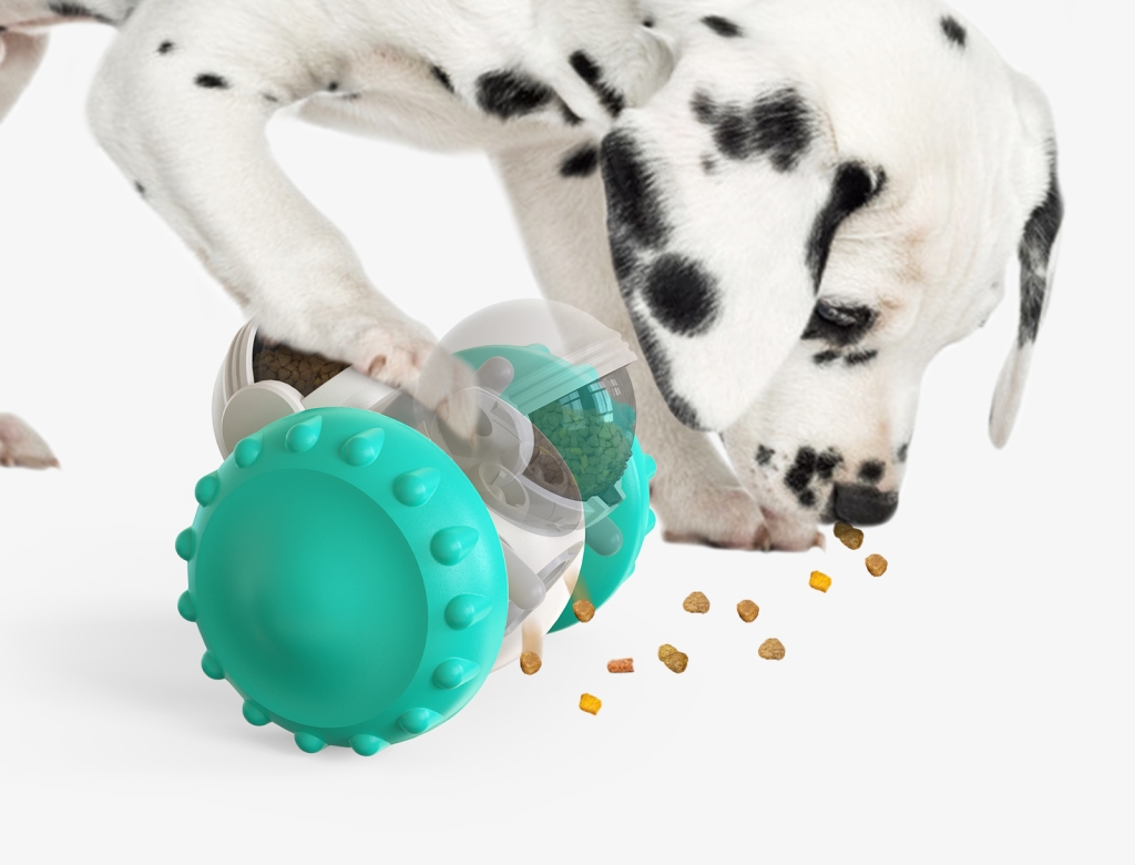 Pet Slow Feeder Toy