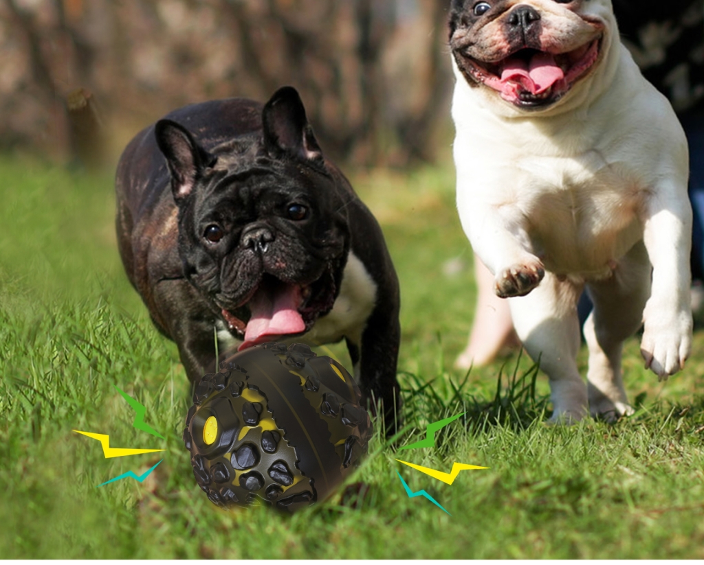 Multifunctional doggy toy