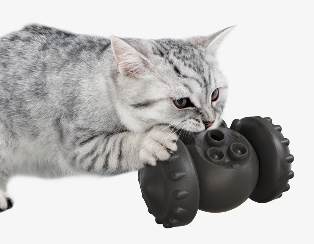 Pet Slow Feeder Toy