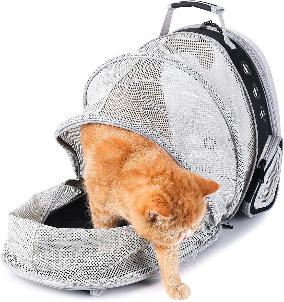 Expandable Pet Cat Carrier