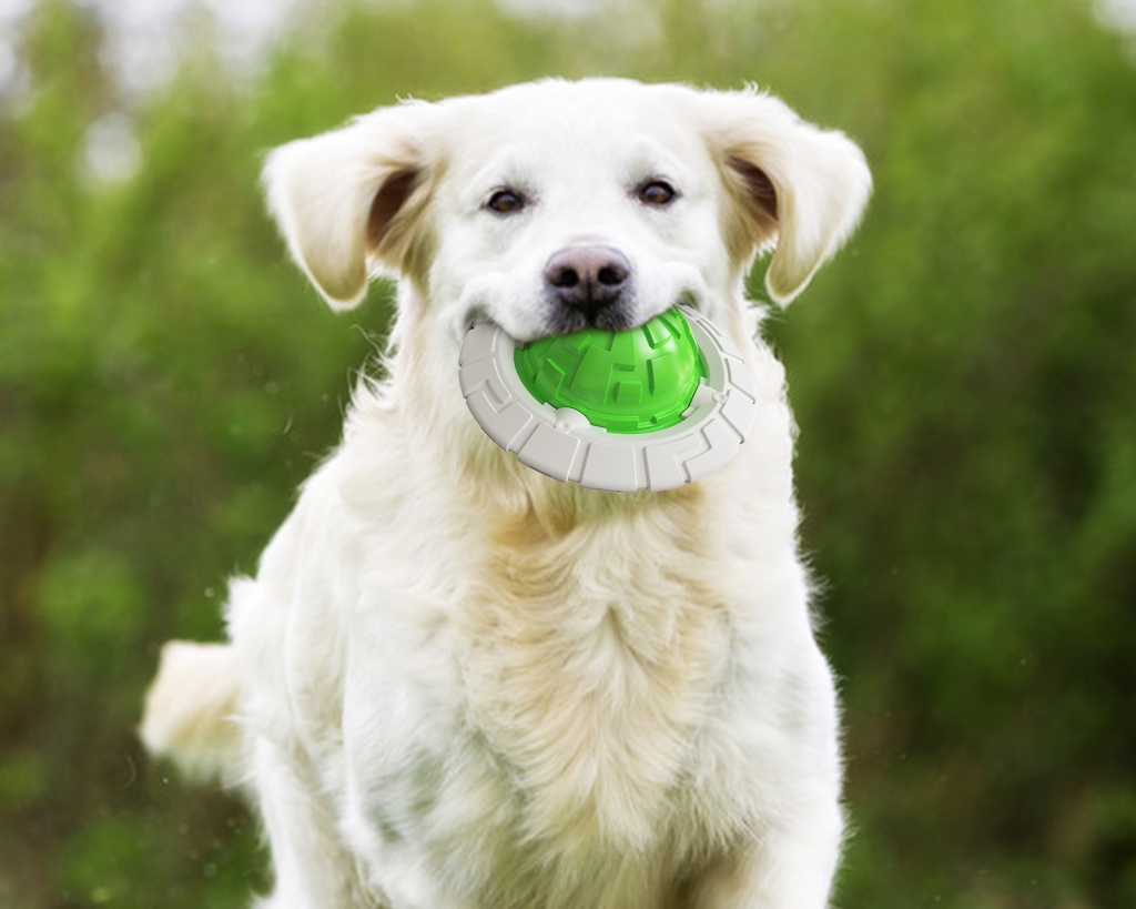 Multifunctional Frisbee Dog Chewing Toy