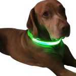 Dog Night Light Collar