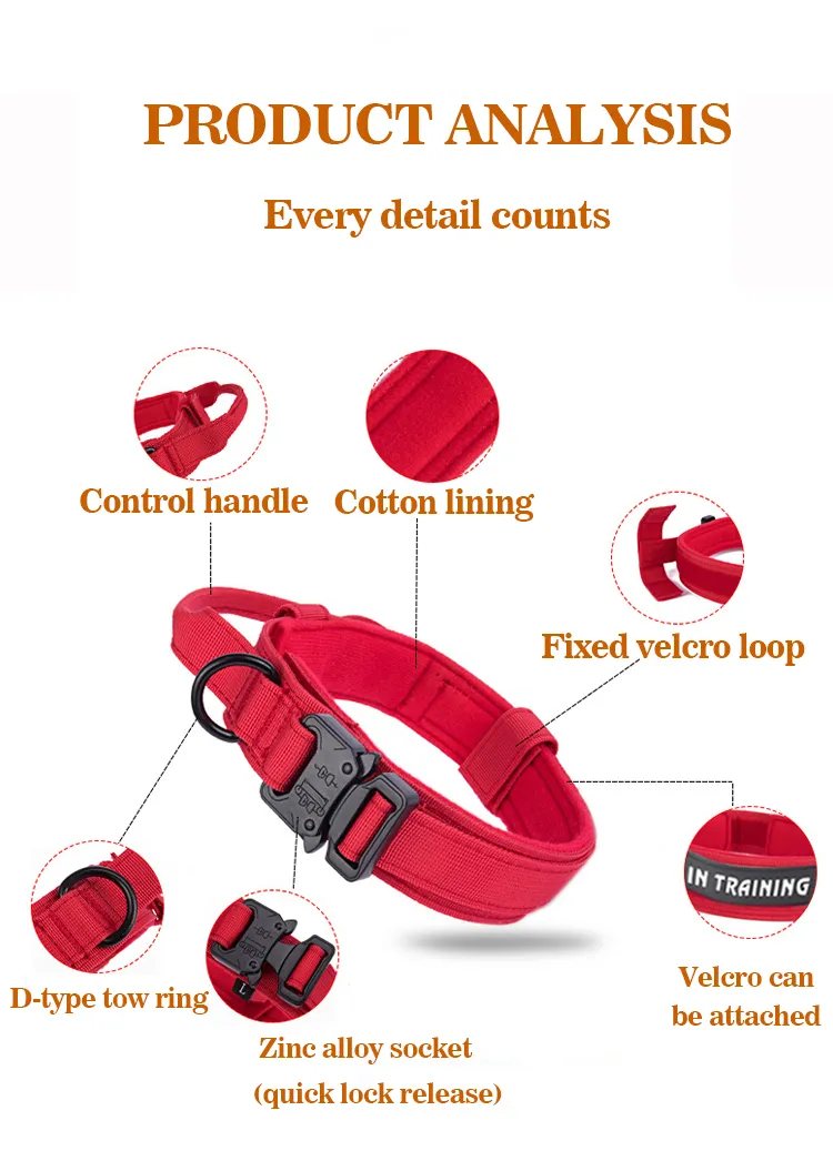 Pet Collar