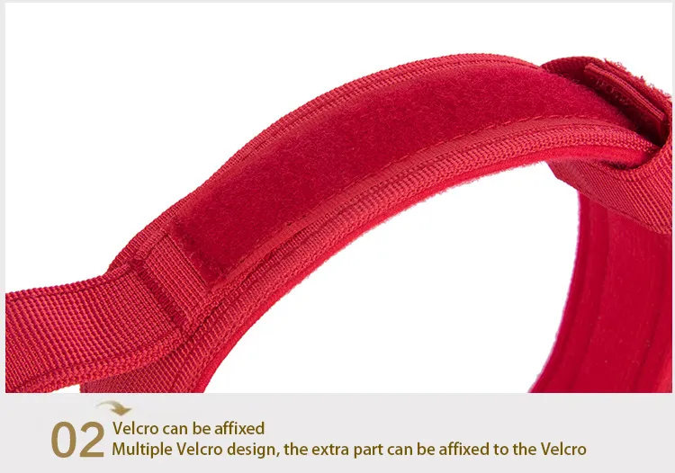 Pet Collar