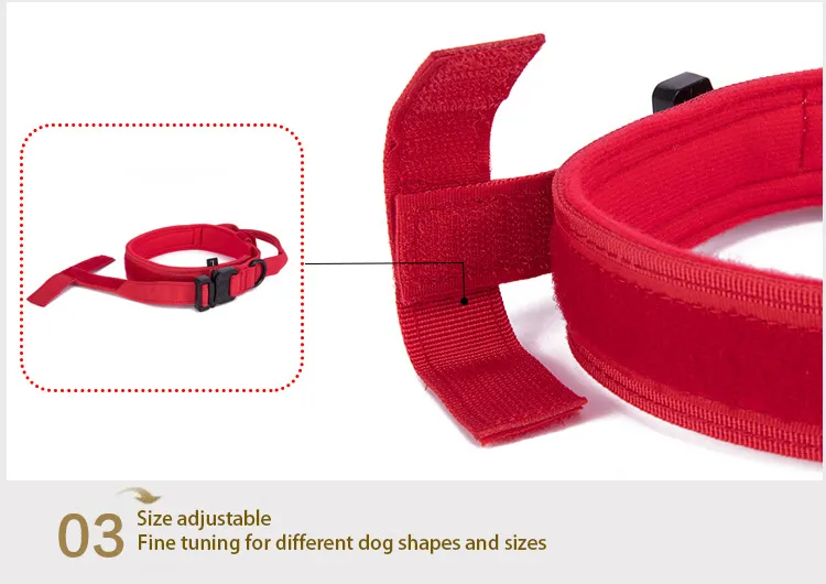 Pet Collar