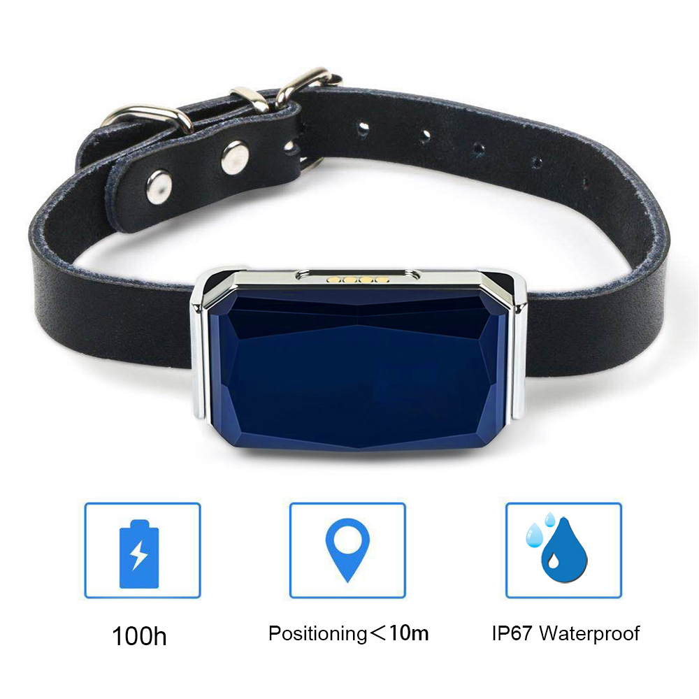 Dog Gps Tracker