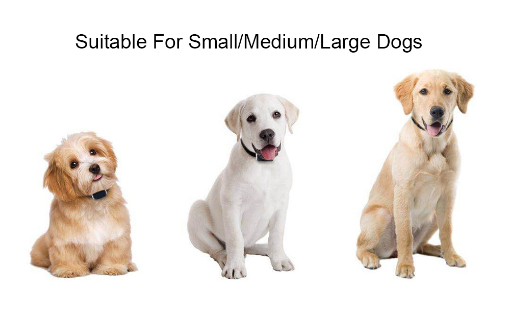 Dog Gps Tracker