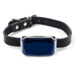 Dog Gps Tracker