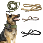 Dog Collars