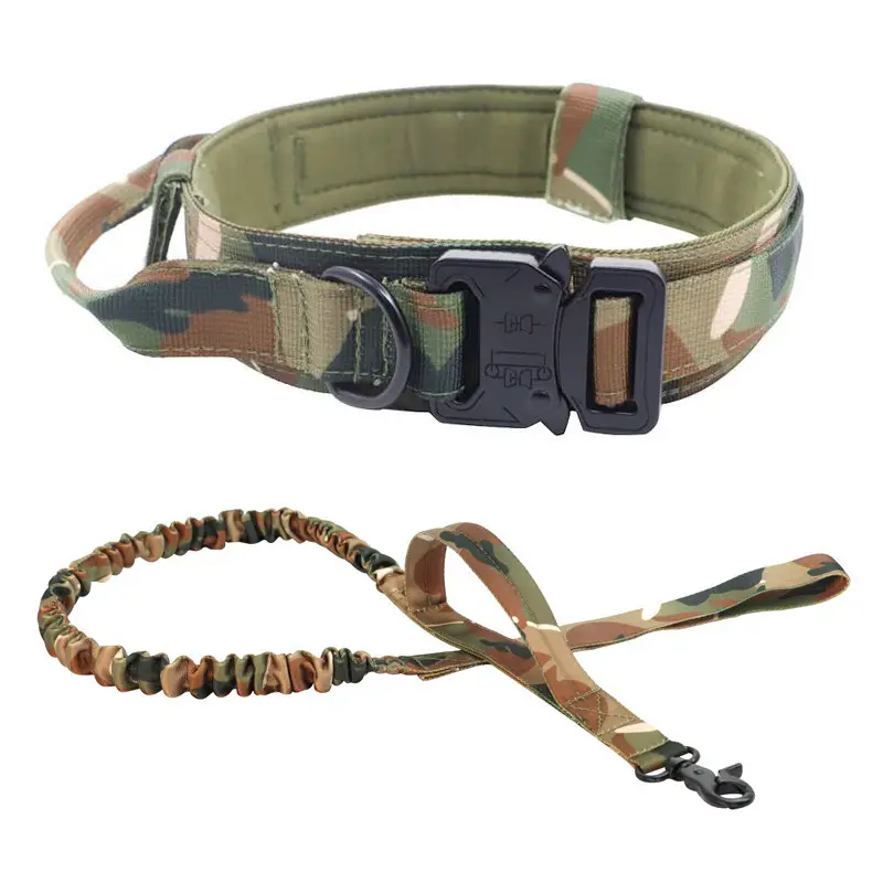 Dog Collars