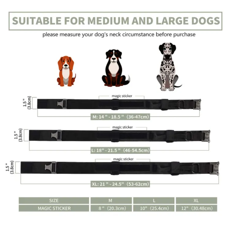 Pet Collar