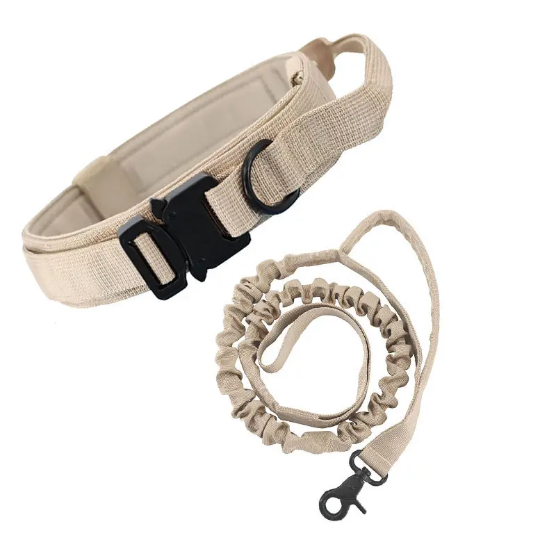 Dog Collars