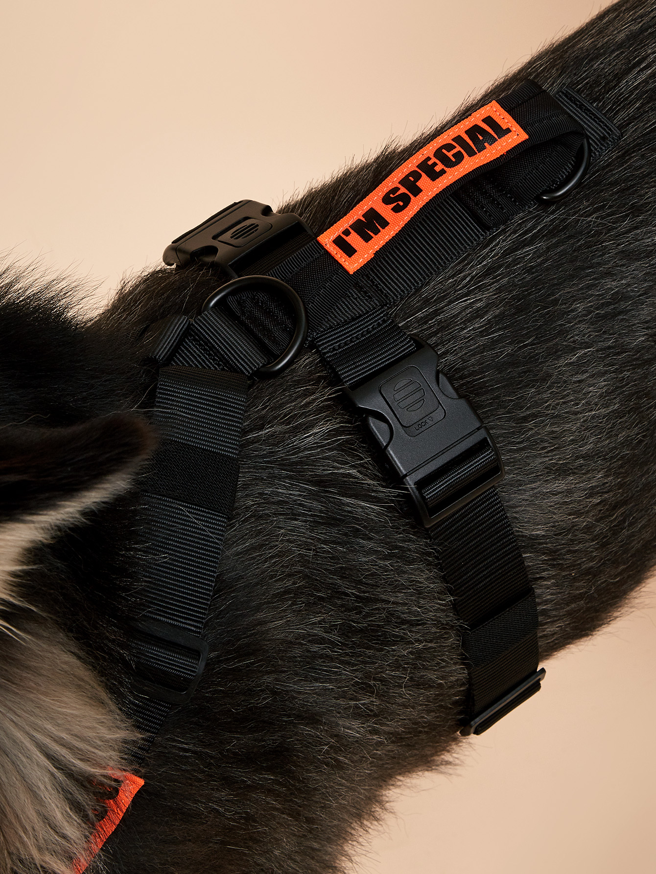 Pet Dog Harness