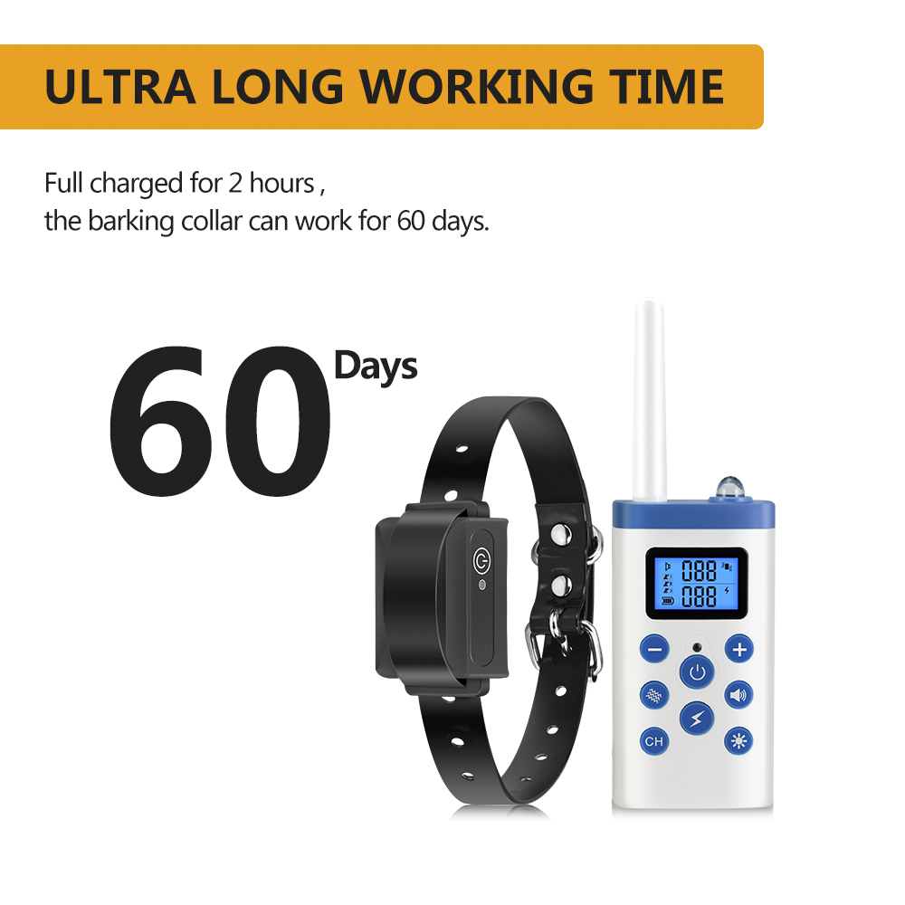 Dog Training Collar