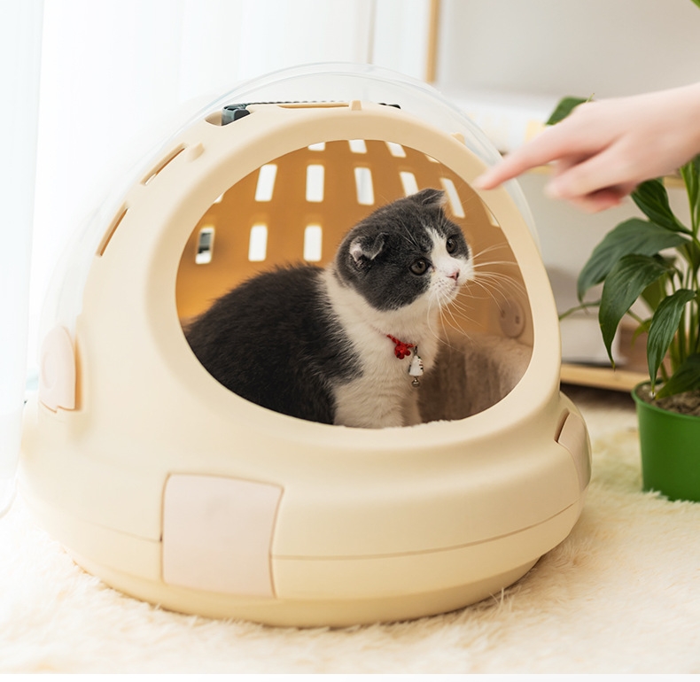 Cat Bed