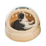 Cat Bed