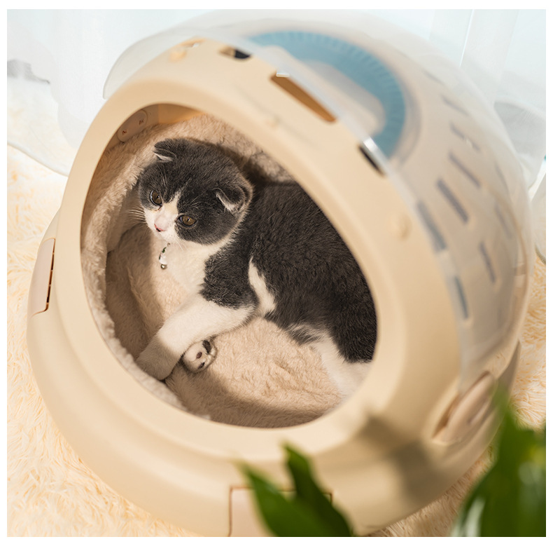 Cat Bed