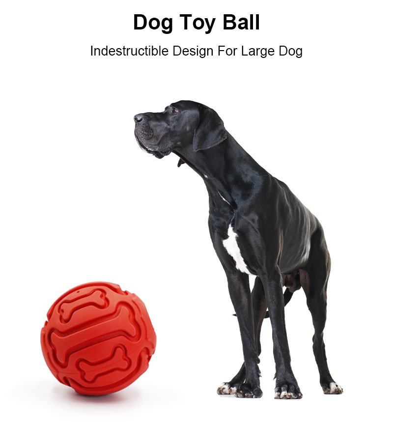 Squeaky Dog Toys