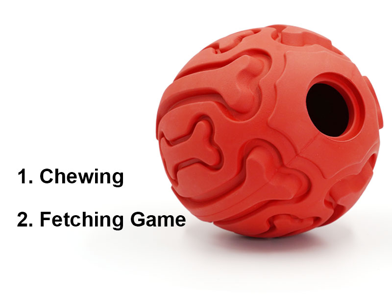 Squeaky Dog Toys