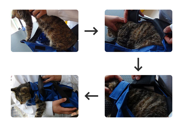 Cat Restraint Bag