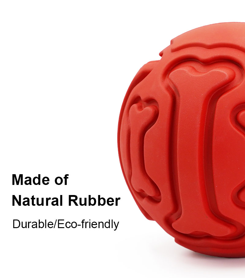 Squeaky Dog Toys